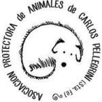 logo protectora