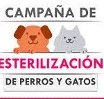 campaña esterilizacion
