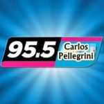 fm 95.5