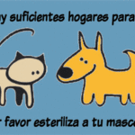CASTRACIONES