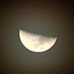 DSCN7411
