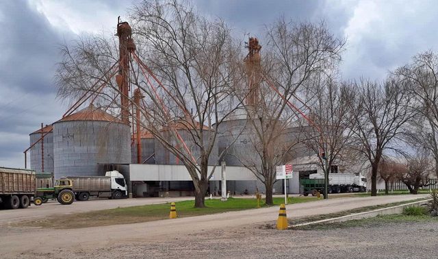 cereales d v 4 cereales d v 4