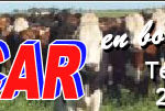incar1