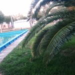 IMG_20201209_150542