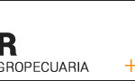 clasificado-portal-1