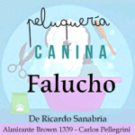 Falucho