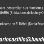 bauducco (2)