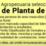 clasif