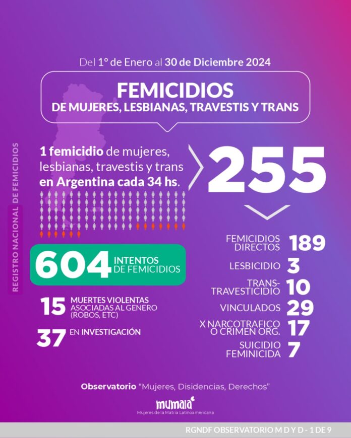 LA TASA DE FEMICIDIOS NO DESCENDIÓ EN 2024 | Portal Pellegrinense